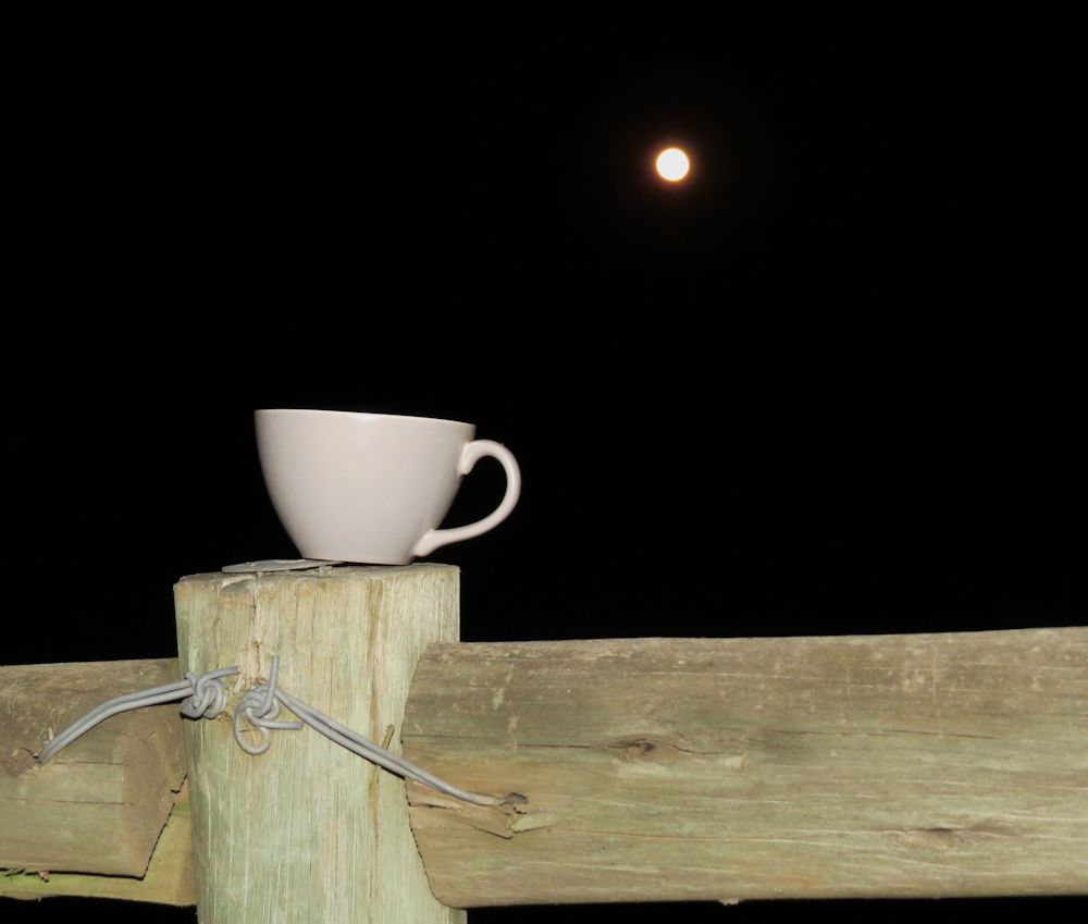 r teacup moon 011