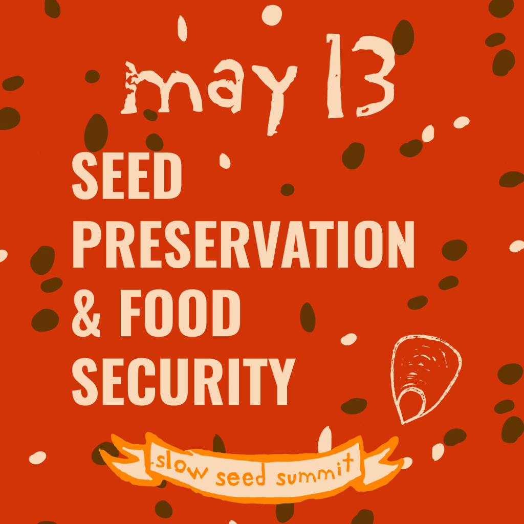 Wild Harvesting Wild Seed May-13404x-1